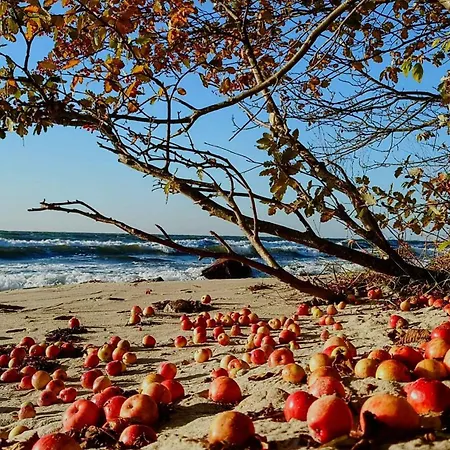 Hyggeligt Fiskerhus Taet Pa Havet *