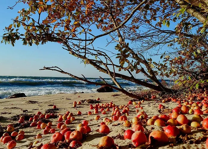 Hyggeligt Fiskerhus Taet Pa Havet *